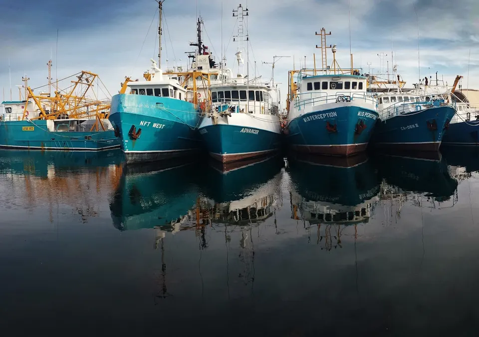 Fishing boats moored in a harbour